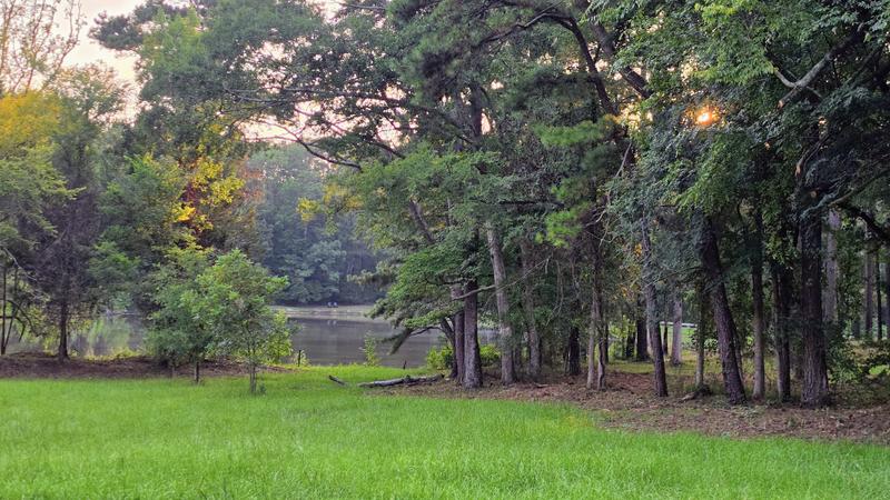Lawn and trees by the water at Greystone